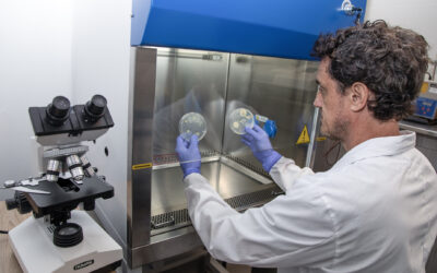 UNAHUR Investiga: En búsqueda de nuevos antibióticos