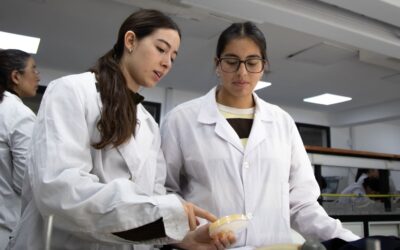 Convocatoria abierta: Becas Estímulo a las Vocaciones Científicas del CIN